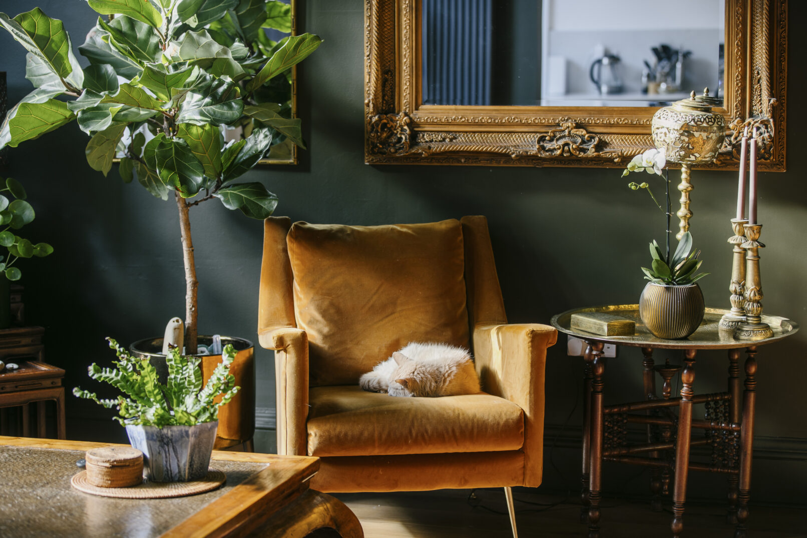 Alteration of a New Town Edinburgh apartment. A new contemporary kitchen is open plan to living room. Calum Duncan Architects Edinburgh. Energy improvements using low carbon low toxicity natural materials.