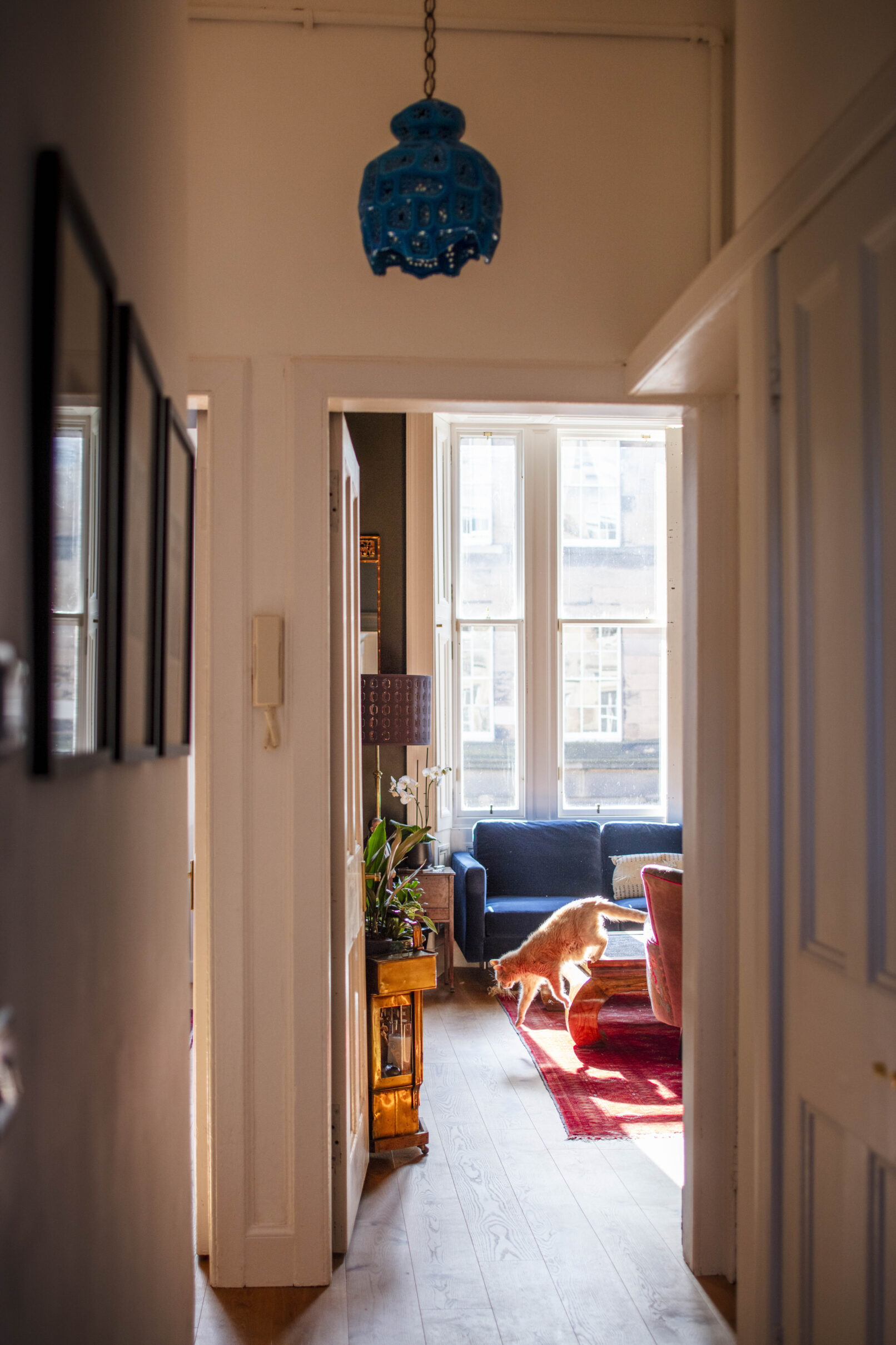 Alteration of a New Town Edinburgh apartment. A new contemporary kitchen is open plan to living room. Calum Duncan Architects Edinburgh. Energy improvements using low carbon low toxicity natural materials.